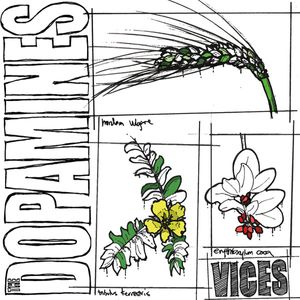 Vices cover