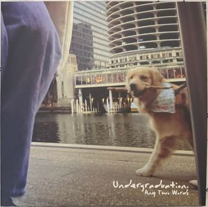 Undergraduation. cover