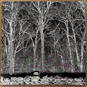 Sunshine and Balance Beams cover