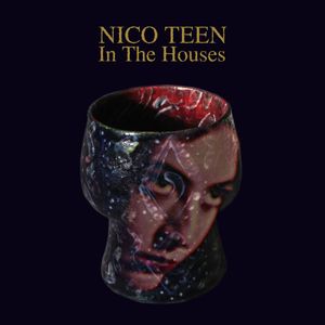In The Houses by Nico Teen