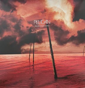 What We All Come to Need & Ephemeral LP cover