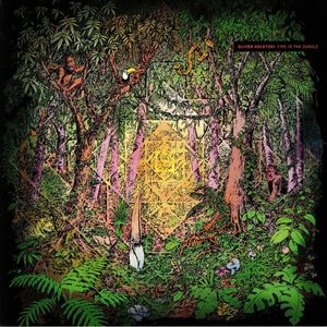 Fire In The Jungle cover