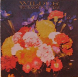 The Teardrop Explodes – Wilder