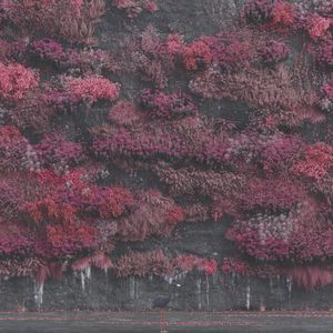 Even In Arcadia  cover