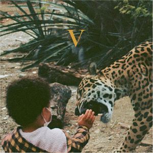 V cover