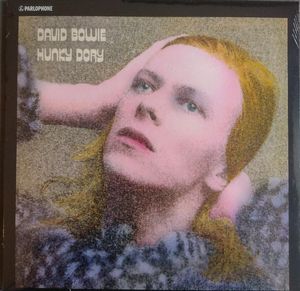 Hunky Dory cover