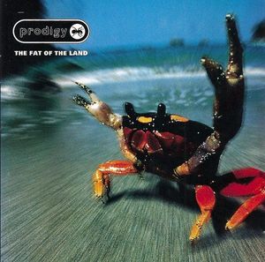 The Fat Of The Land by The Prodigy