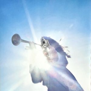 Getting Killed by Geese