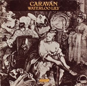 Caravan – Waterloo Lily
