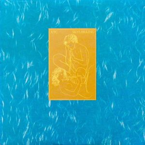 Skylarking cover