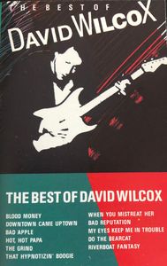David Wilcox – The Best Of David Wilcox
