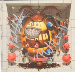 Optical Delusion cover