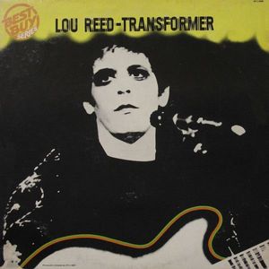 Transformer cover