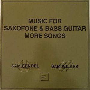 Sam Gendel & Sam Wilkes – Music For Saxofone & Bass Guitar More Songs