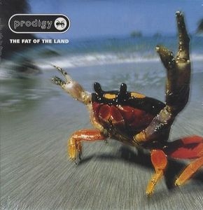 The Fat Of The Land by The Prodigy
