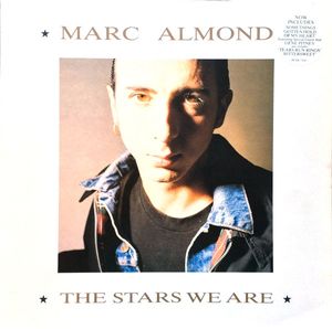 The Stars We Are cover