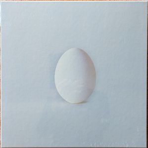 A Ghost Is Born cover