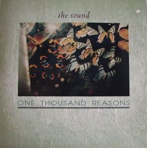 One Thousand Reasons cover