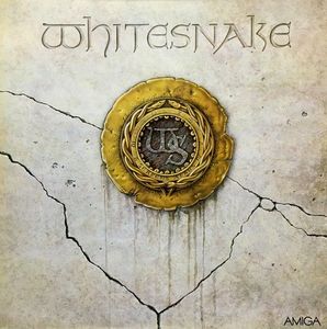 Whitesnake cover