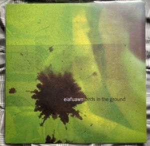 Birds In The Ground cover