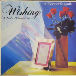 Wishing (If I Had A Photograph Of You) cover