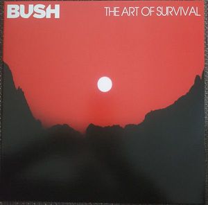 The Art Of Survival cover