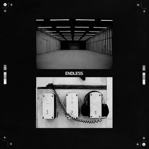 Endless cover