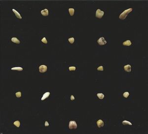 Visions Of Bodies Being Burned cover