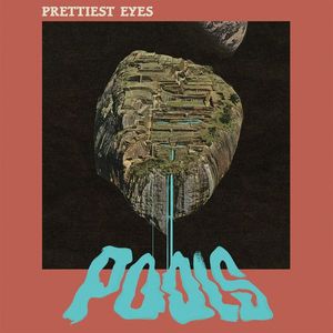 Pools cover