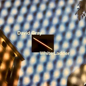 David Gray – White Ladder