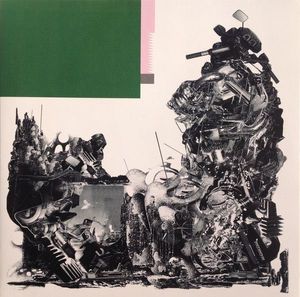 Schlagenheim cover