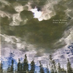 Urban Driftwood cover