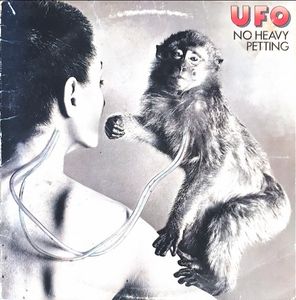 No Heavy Petting cover
