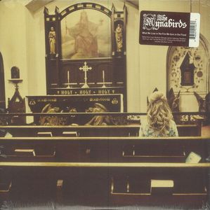What We Lose In The Fire We Gain In The Flood by The Mynabirds