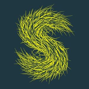 Strings Of Consciousness – Our Moon Is Full