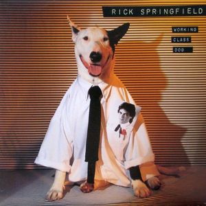 Working Class Dog by Rick Springfield