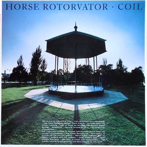 Horse Rotorvator by Coil