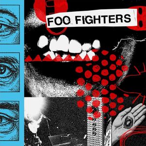 Your Favorite Toy by Foo Fighters