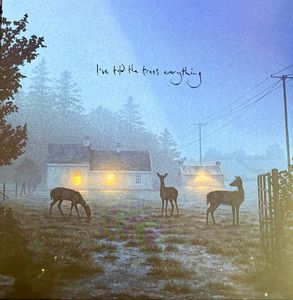 I've Told The Trees Everything cover