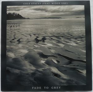 Fade To Grey cover