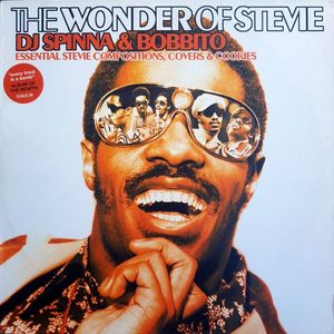 The Wonder Of Stevie (Essential Stevie Compositions, Covers & Cookies) cover