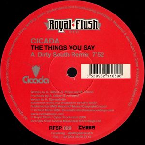 Cicada – The Things You Say