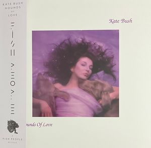 Hounds Of Love cover