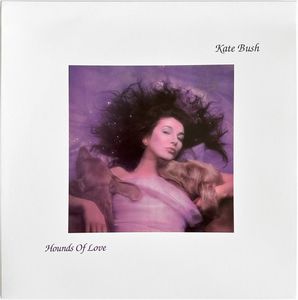 Hounds Of Love cover