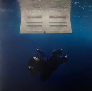 Hit Me Hard And Soft cover