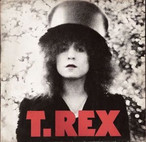 The Slider by T. Rex