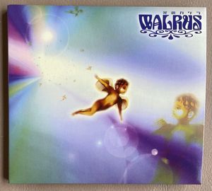 光のカケラ by Walrus