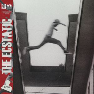 The Ecstatic by Mos Def