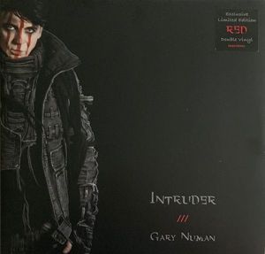  Intruder cover