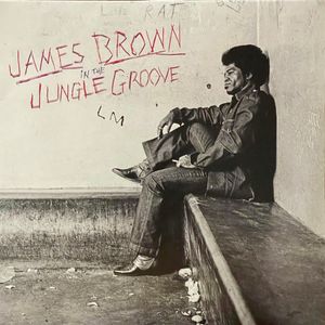 In The Jungle Groove cover